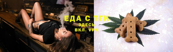 твердый Лагань