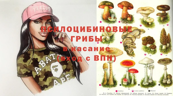 крисы Лабытнанги