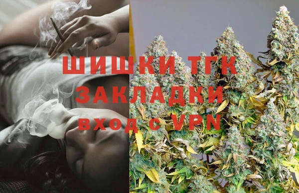твердый Лагань