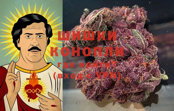 крисы Лабытнанги