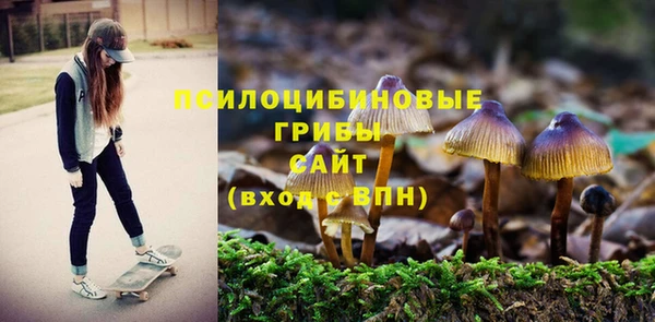 кокаин перу Ладушкин