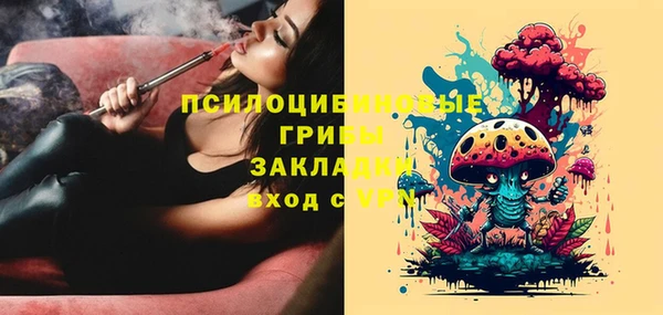 крисы Лабытнанги