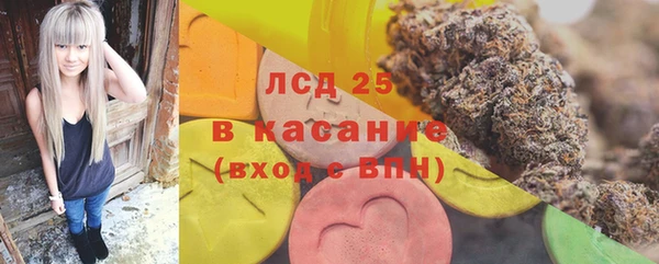 твердый Лагань