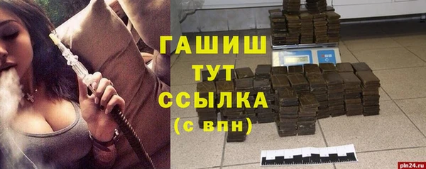 твердый Лагань