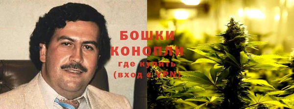 твердый Лагань