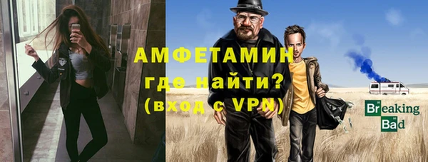 твердый Лагань