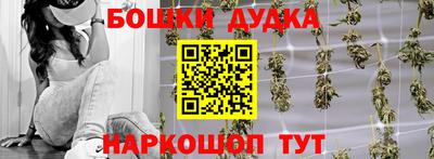 дмт Дубна