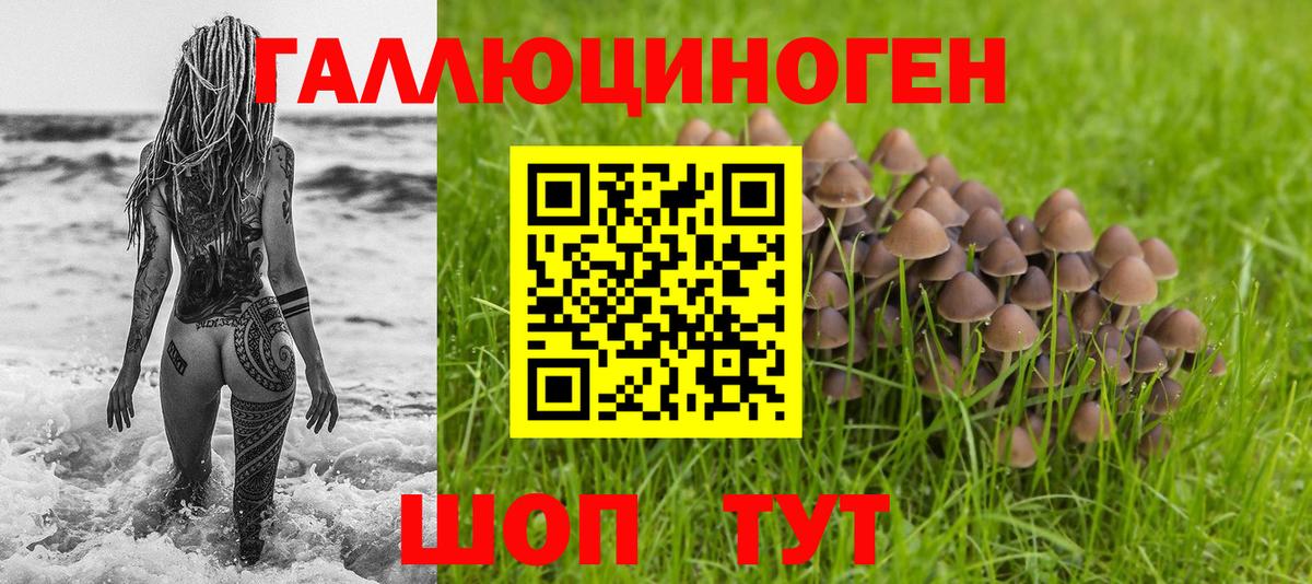 Галлюциногенные грибы прущие грибы  Вход с VPN  Стерлитамак 