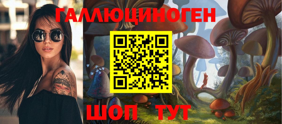 Галлюциногенные грибы Psilocybe  Стерлитамак 