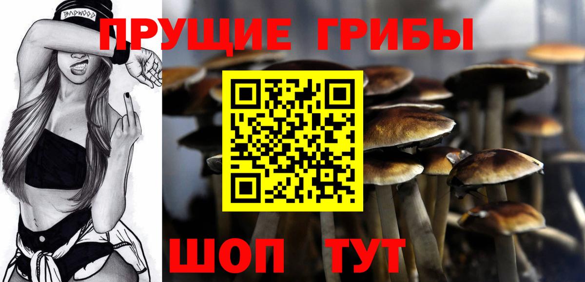 Псилоцибиновые грибы мицелий Стерлитамак